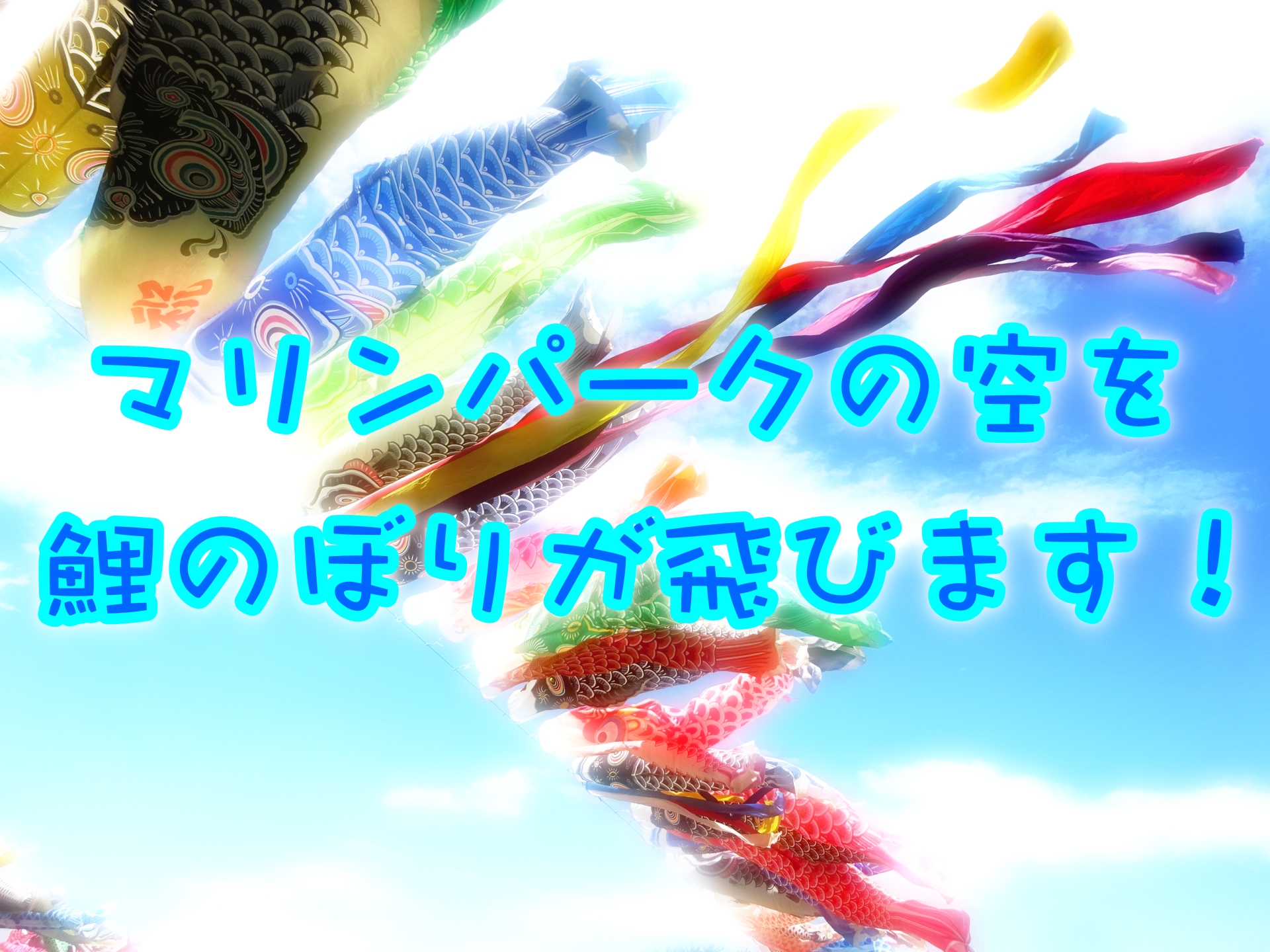 マリンパーク新居浜の空を鯉のぼりが泳ぐ!イベント&寄付情報