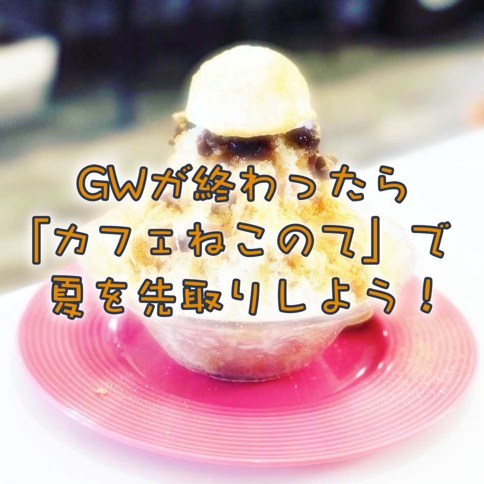 期間限定!夏はカフェねこのてでハワイアンモーニングとかき氷!