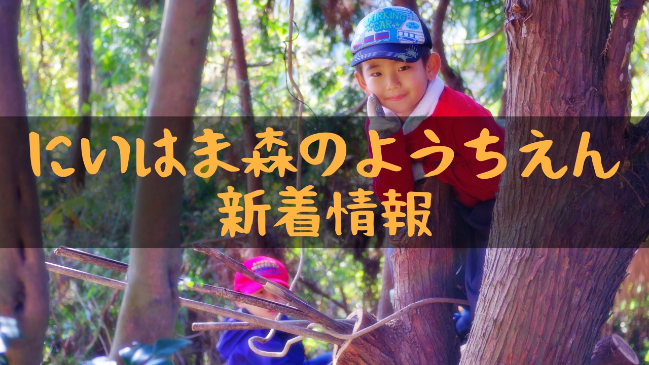 自然保育団体「にいはま森のようちえん」新着情報!